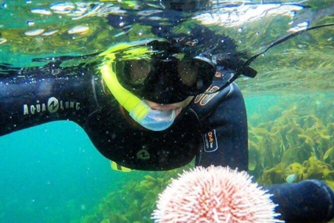 Family Snorkeling Tour - Key points before you book