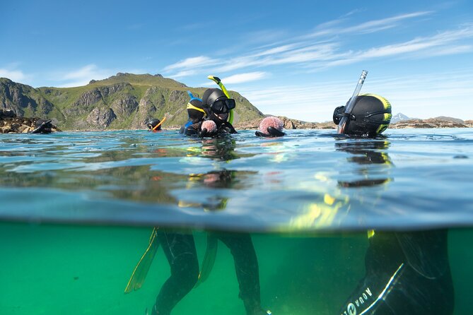 Family Snorkeling Tour - The RIB ride to the snorkeling site