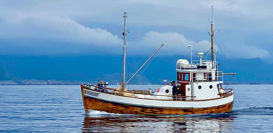 Fishing trip from Henningsvær - The ride toward the fishing grounds