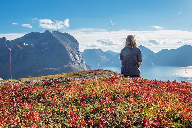 Fjord Expedition: Arctic Adventure Awaits - The guides shape the day