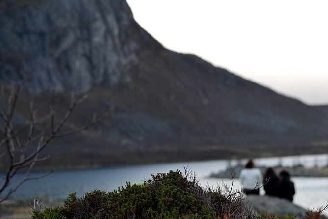 Fjord Expedition: Arctic Adventure Awaits - Is $145.76 a fair price?
