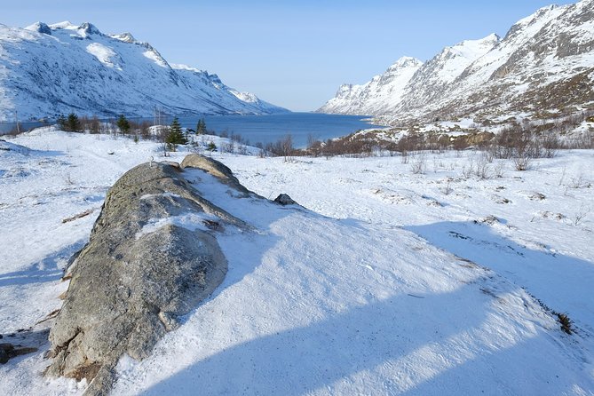 Fjord, Mountain and Wildlife Tour - Why Tromsø’s fjords are worth the drive