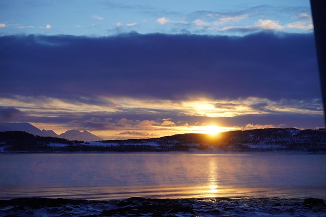 Fjord, Mountain and Wildlife Tour - The minibus, group size, and guide style