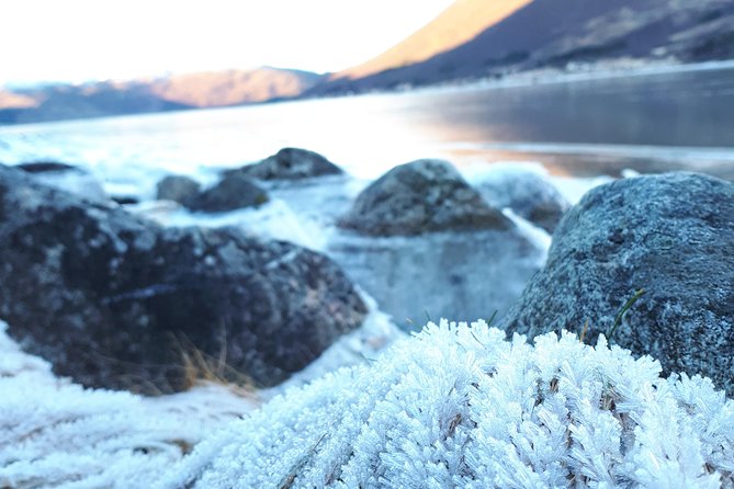Fjord, Mountain and Wildlife Tour - Warm clothing, hot drinks, and what to bring