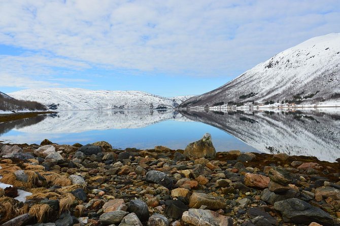 Fjord, Mountain and Wildlife Tour - Who will enjoy this tour most?