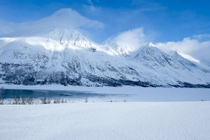 Fjord, Mountain and Wildlife Tour - The route from Kvaløysletta to Grøtfjord