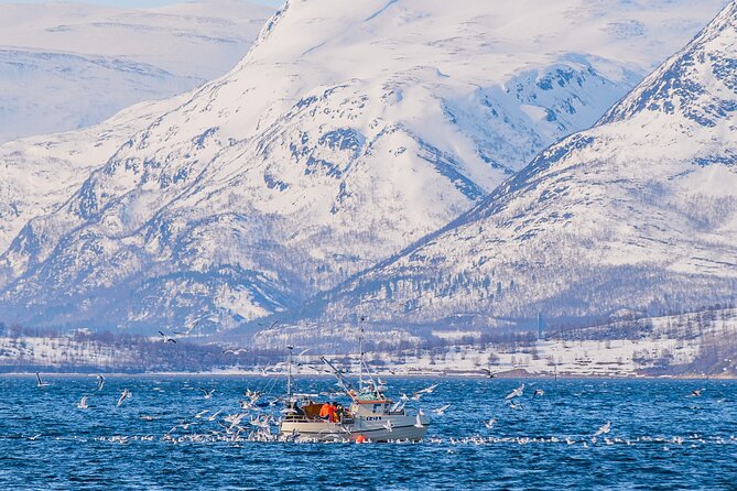 Fjord Safari in the Altafjord - What the guide and crew add