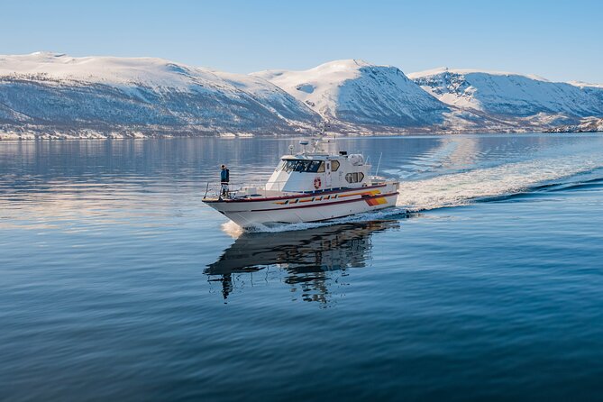 Fjord Safari in the Altafjord - Is $171.21 a fair price?
