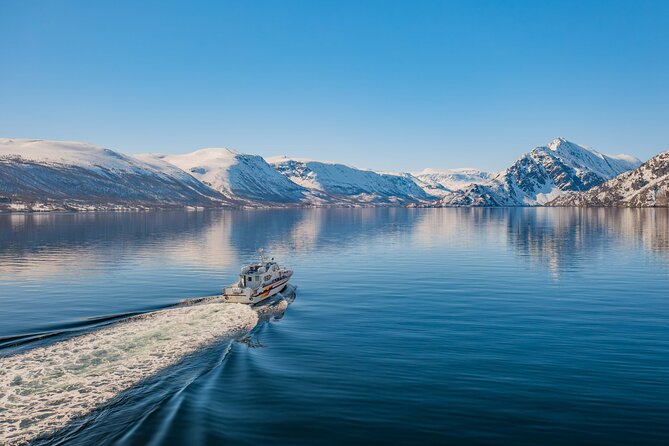 Fjord Safari in the Altafjord - Crossing Altafjord with wildlife in view