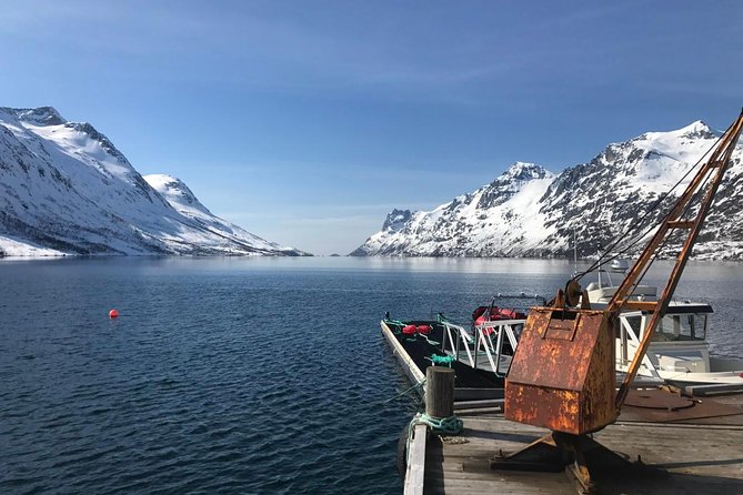 Fjord Sightseeing - Eco friendly Tesla Model X - Key points before you book
