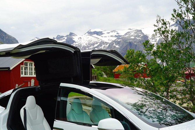 Fjord Sightseeing - Eco friendly Tesla Model X - What the Tesla Model X adds