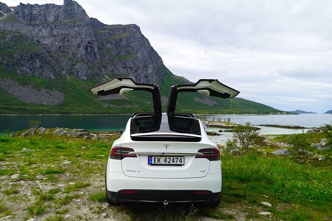 Fjord Sightseeing - Eco friendly Tesla Model X - A guide-led outing with room to ask questions