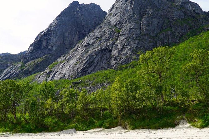 Fjord Sightseeing - Eco friendly Tesla Model X - How the private format affects value