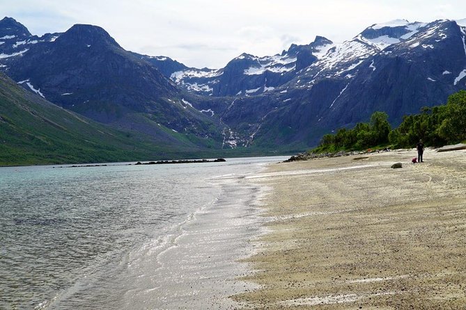 Fjord Sightseeing - Eco friendly Tesla Model X - Comfort, group size, and who should choose it