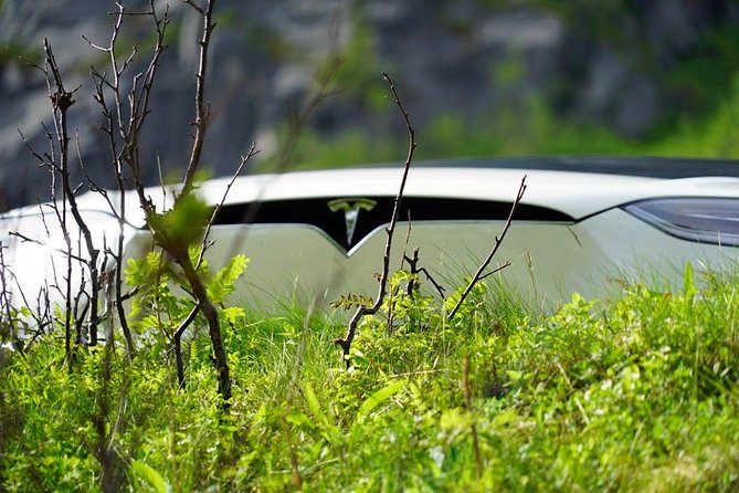 Fjord Sightseeing - Eco friendly Tesla Model X - Fjords, mountains, and open views