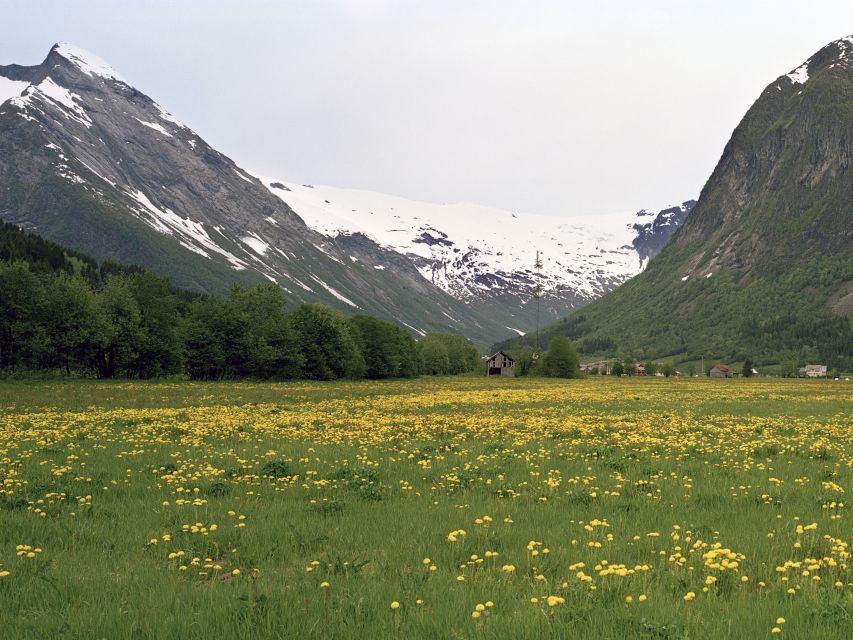 Fjords: Private Trip with Train and Cruise Ride - Riding the Bergen Railway and Flåm Railway