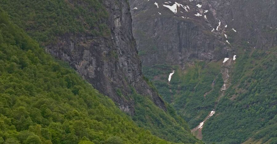 Fjords: Private Trip with Train and Cruise Ride - The early road journey from Oslo
