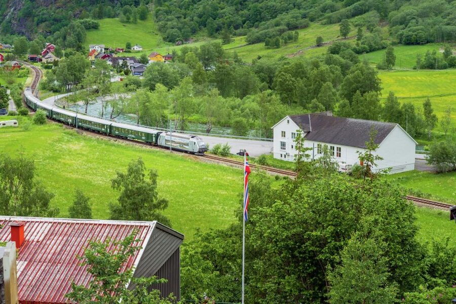 Flåm: Borgund Stave Church, Lærdal, and Stegastein Tour - What the guide and driver add