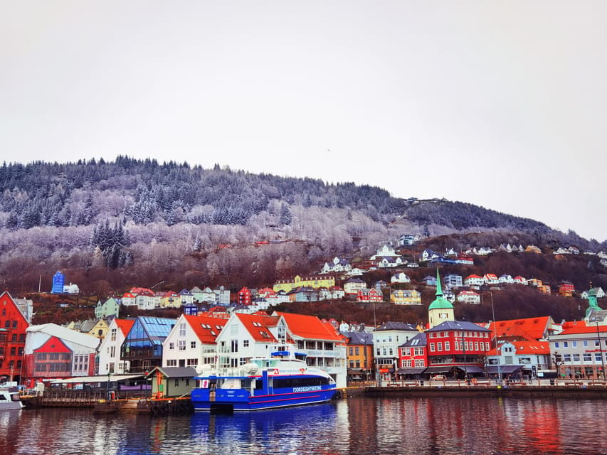 Flåm Flexible Tour with Stegastein, cruise and train include - Why this Bergen to Flåm route works