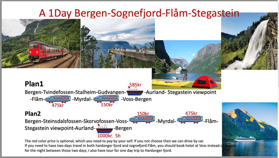 Flåm Flexible Tour with Stegastein, cruise and train include - Stegastein gives you the famous high view