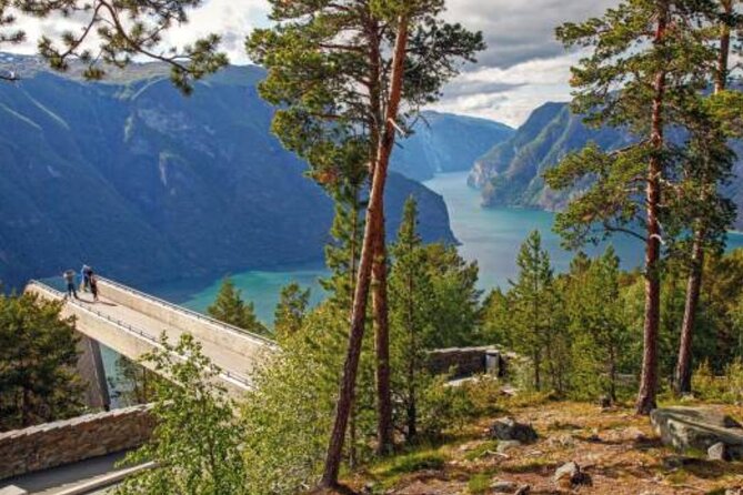 Flam: The Spectacular Stegastein Viewpoint Tour (Small Group) - The driver can make or break the experience