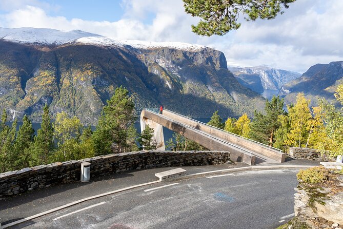 Flam: The Spectacular Stegastein Viewpoint Tour (Small Group) - The Flåm and Skjolden problem