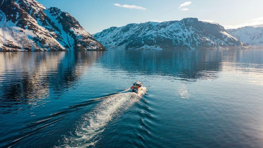 From Alta: Adventure Cruise in Alta Fjord - Cruising Alta Fjord for two to four hours