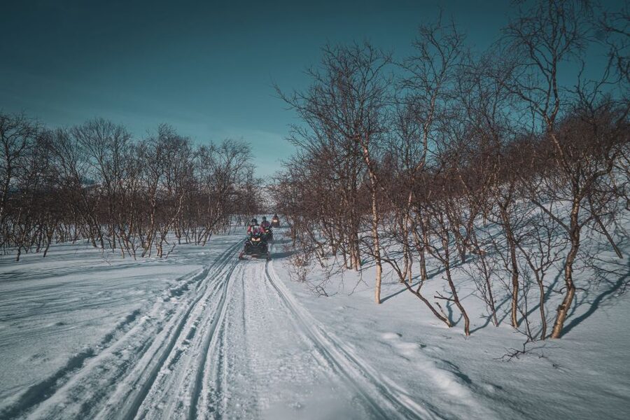 From Alta: Daytime Snowmobile Adventure - Finnmarksvidda opens into Arctic wilderness