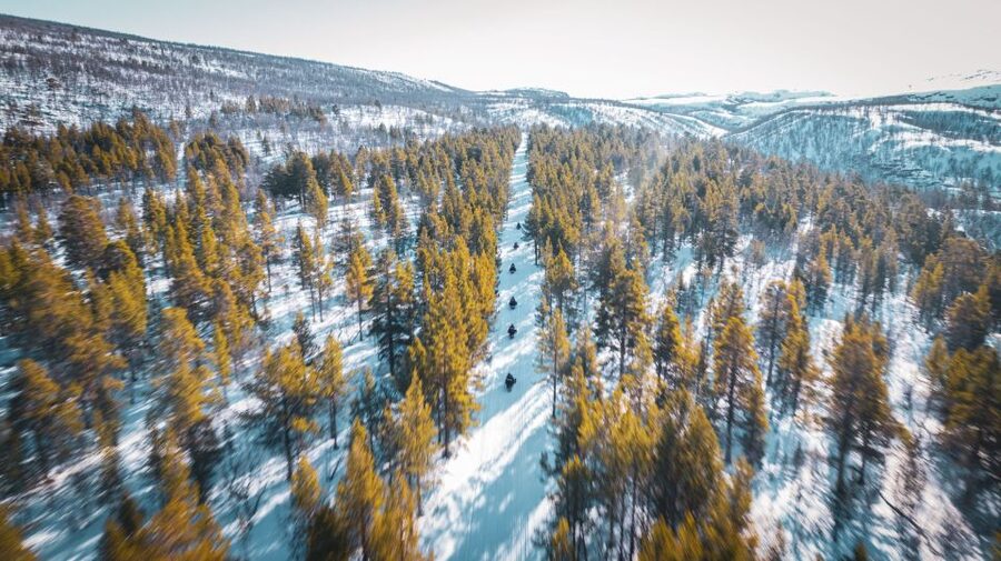 From Alta: Daytime Snowmobile Adventure - What $296 buys you