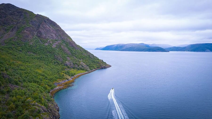 From Alta: Experience Seiland National Park - Glaciers, birds, plants, and possible wildlife