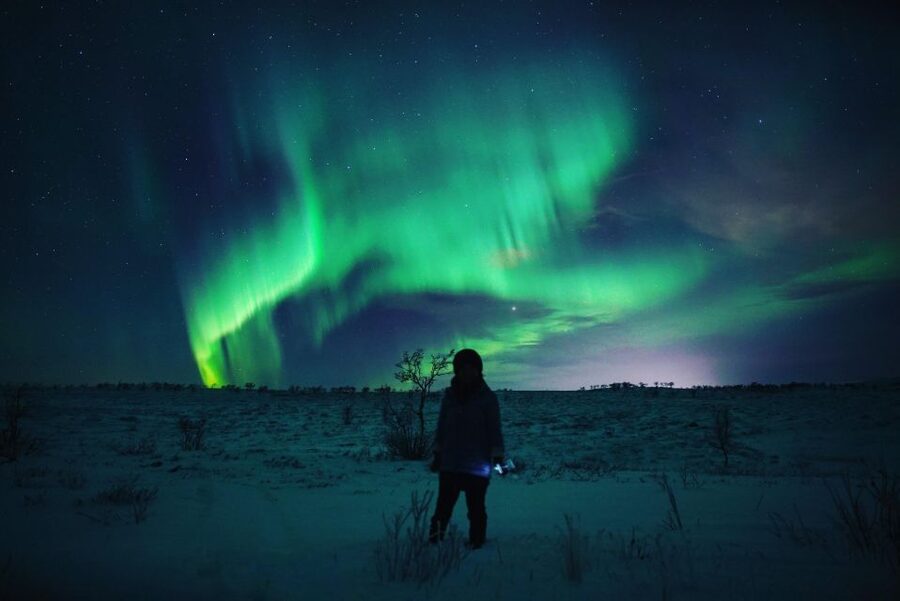 From Alta: Nighttime Northern Lights Spotting Tour - What the minibus adds to a four-hour search