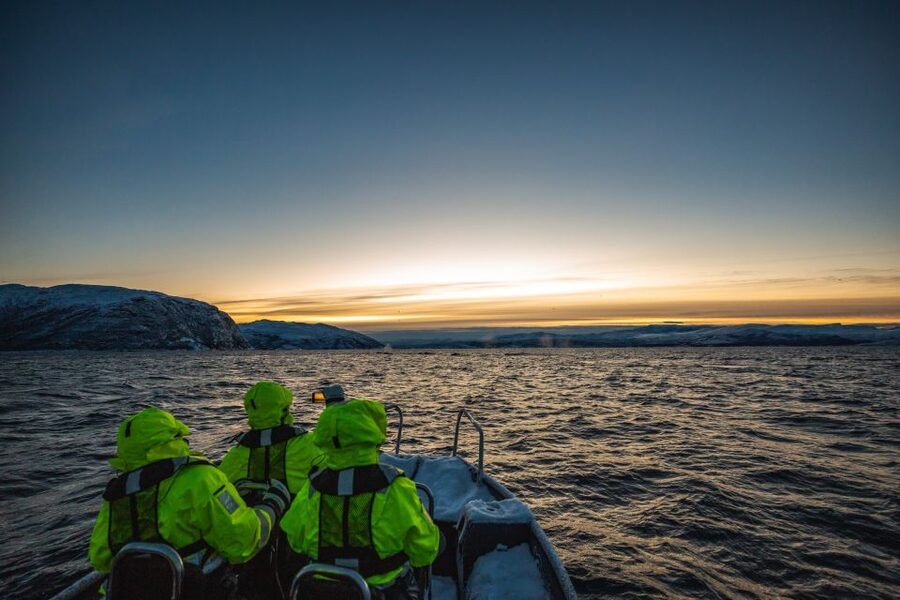 From Alta: Small Group Whale Watching by RIB - Why winter is the right season for this trip