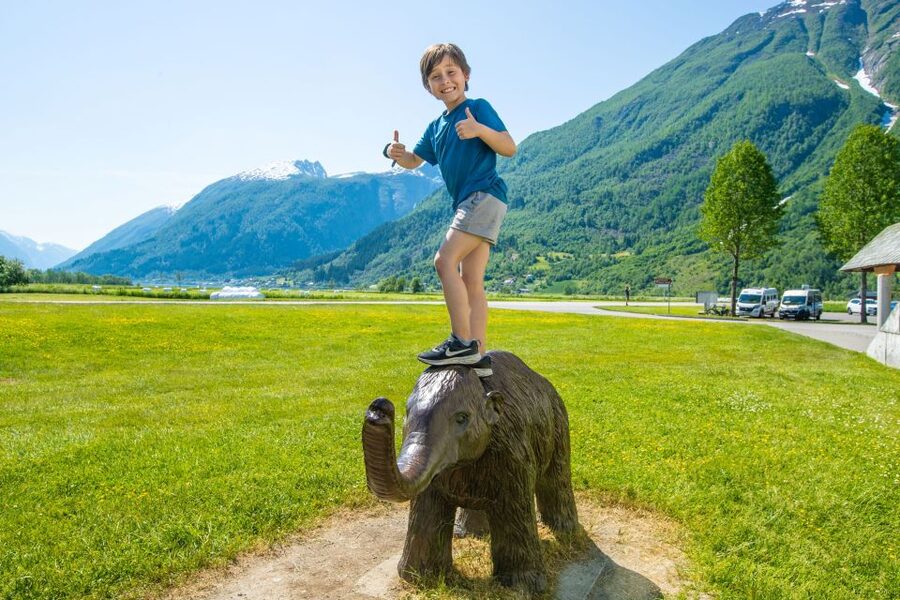 From Balestrand: Guided Fjord & Glacier Tour to Fjærland - Is $142 good value?
