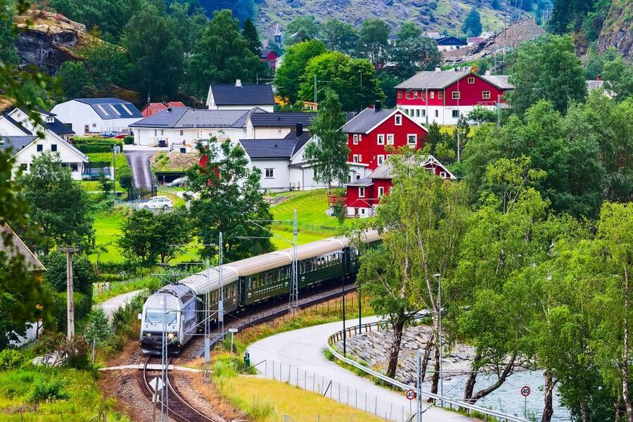 From Bergen: Flam Full-Day Cruise to Sognefjord - What the $162 price includes and leaves out