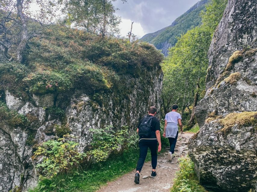 From Bergen: Folgefonna National Park & Glacier Lake Tour - Who should book this full-day trip?