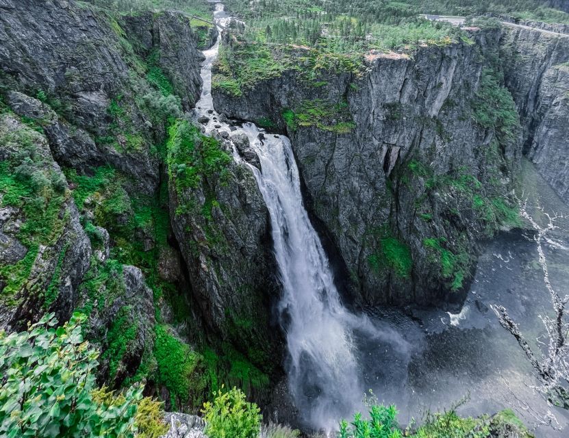 From Eidfjord: Vøringfossen Waterfall Nature Tour with Guide - Is $105 good value?