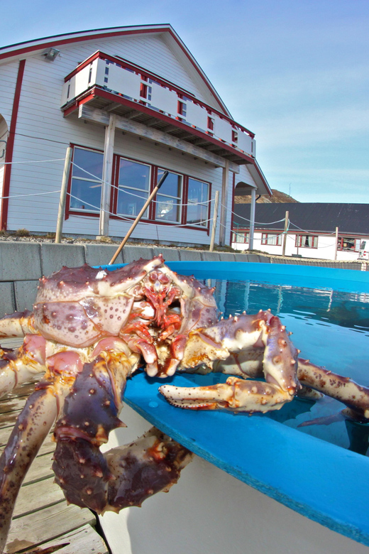 From Honningsvåg: VIP North Cape and Kingcrab Tour - The Sámi camp from May through September