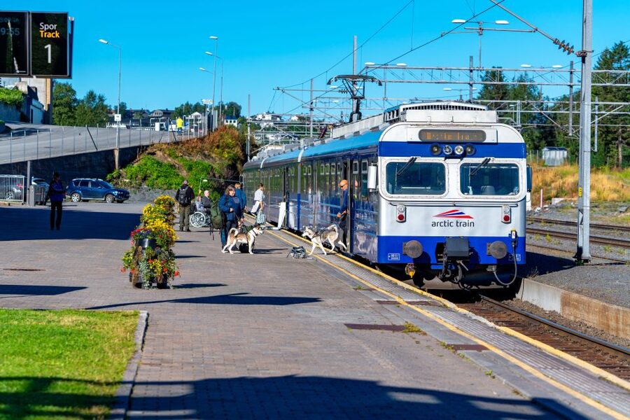 From Narvik: Roundtrip Arctic Train Ride on Ofoten Railway - What makes Bjørnfjell worth the stop