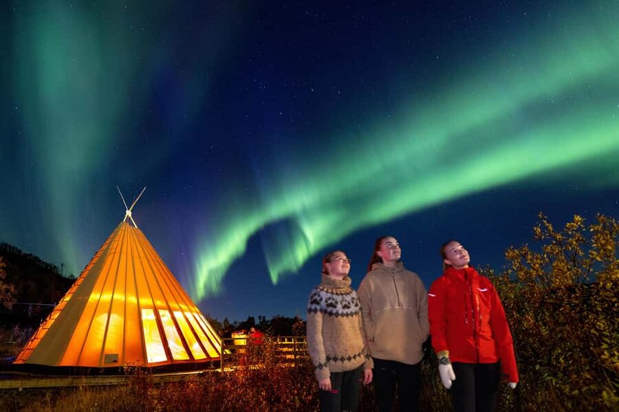 From Narvik: The Northern Lights Arctic Train Guided Tour - Guides, boarding, and the small practical flaws