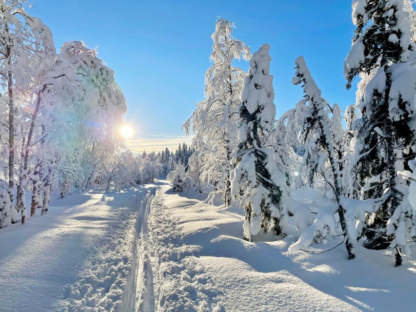 From Oslo: Oslomarka Forest Guided Snowshoeing Tour - From Oslo Central Station to Frognerseteren