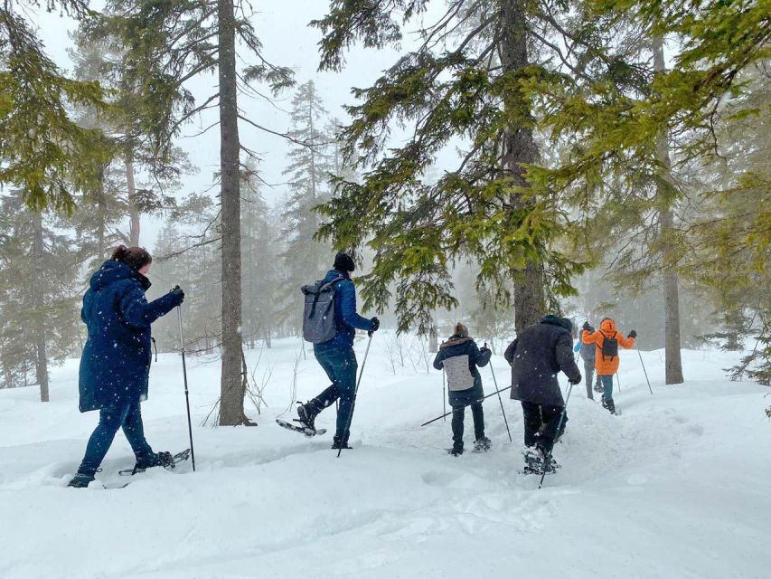 From Oslo: Oslomarka Forest Guided Snowshoeing Tour - What Happens When There Is Not Enough Snow