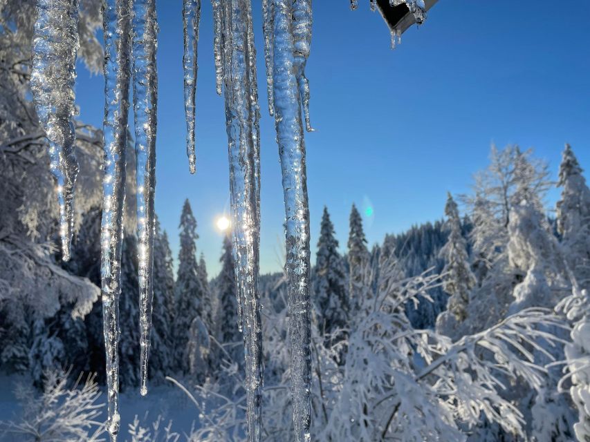 From Oslo: Oslomarka Forest Guided Snowshoeing Tour - Is $105 a Fair Price?