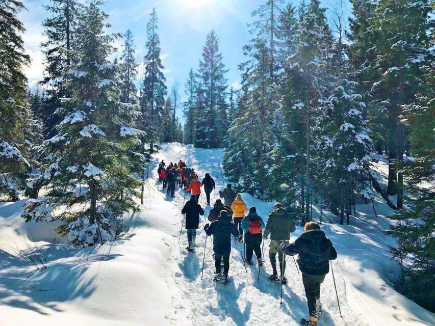 From Oslo: Oslomarka Forest Guided Snowshoeing Tour - How Family-Friendly Is This Experience?