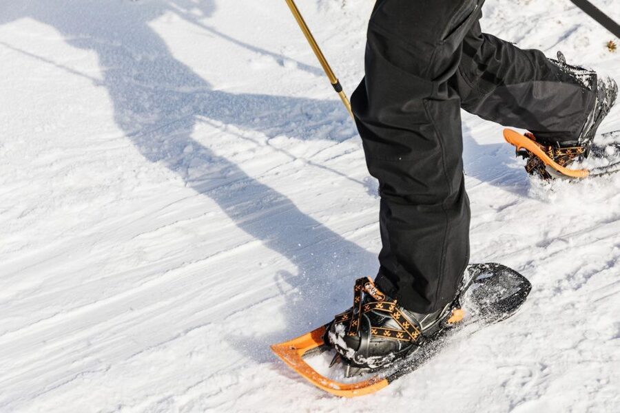From Oslo: Oslomarka Forest Guided Snowshoeing Tour - Who Will Enjoy This Forest Tour Most?