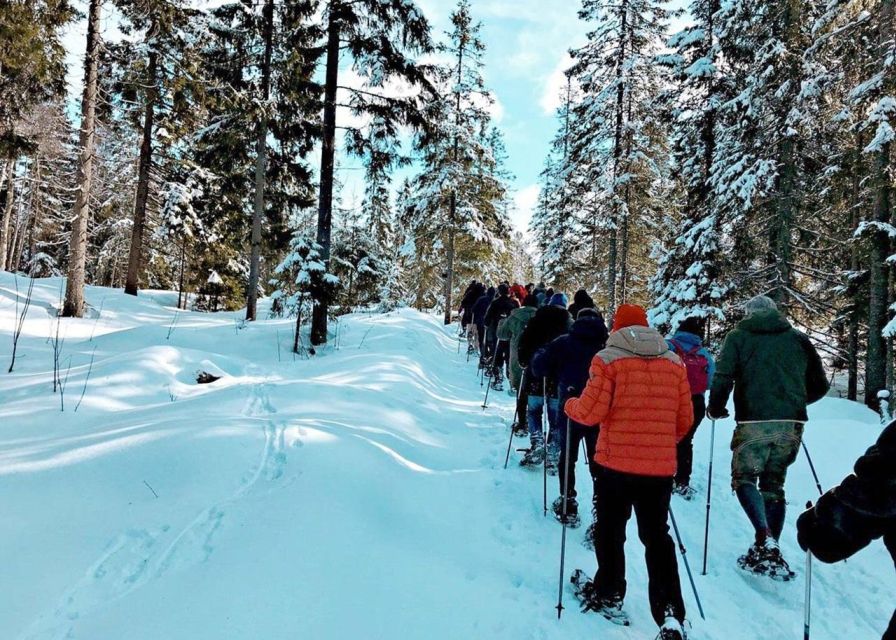 From Oslo: Oslomarka Forest Guided Snowshoeing Tour - Learning Snowshoes Before the Forest Walk