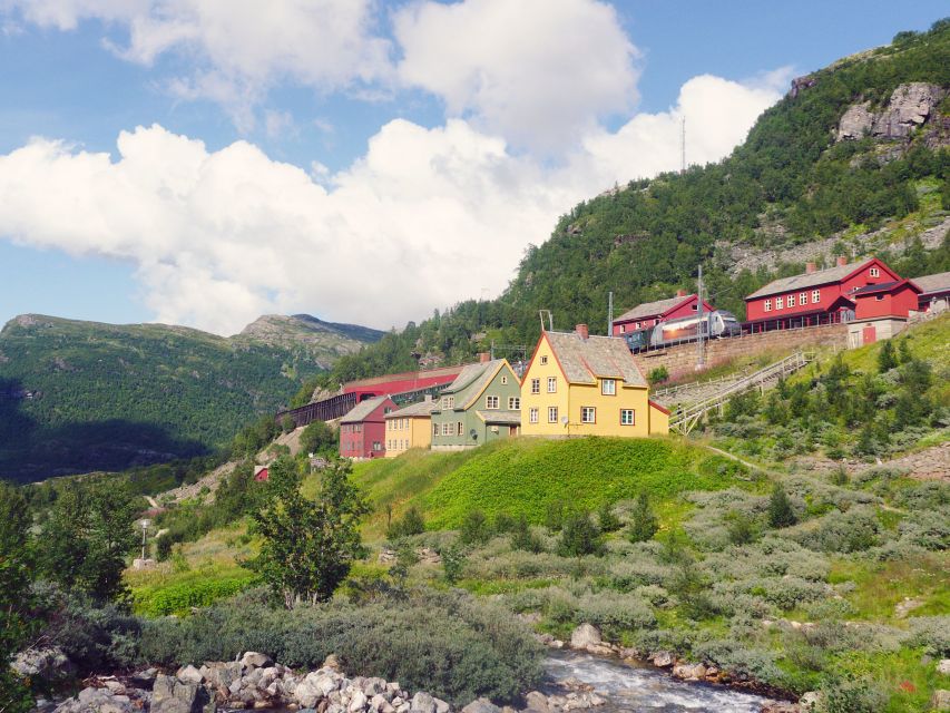 From Oslo: Private Round-Trip Tour to Sognefjord via Flåm - Why this Oslo to Sognefjord trip appeals