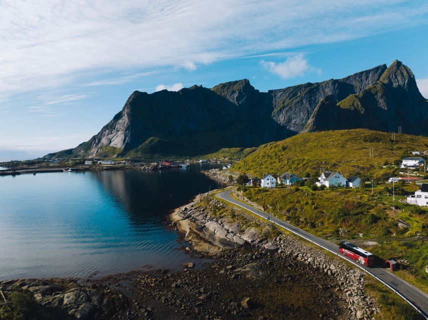 From Svolvær: Best of Lofoten Tour in One Day - Key points to know before booking
