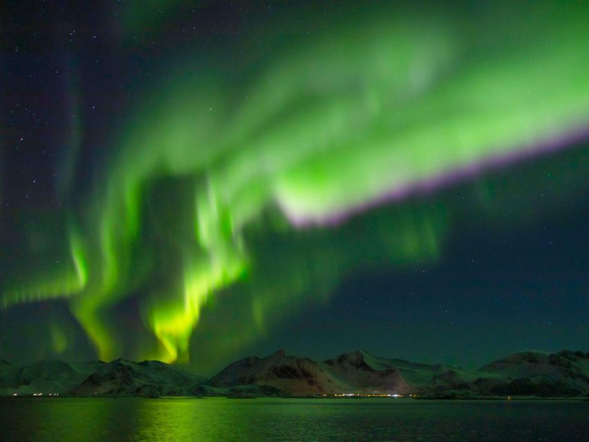 From Svolvær: Guided Northern Lights Tour by Van - Photographing the aurora without making it complicated