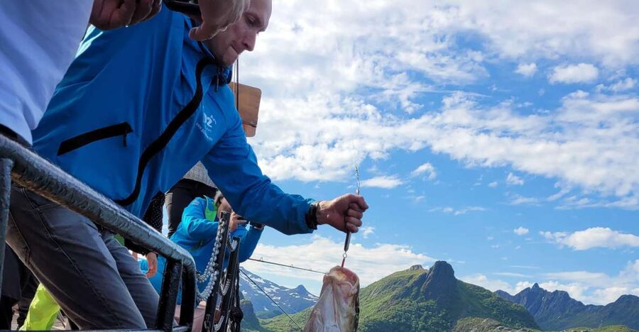 From Svolvaer: Lofoten Fishing Boat Cruise - Key points to know before booking