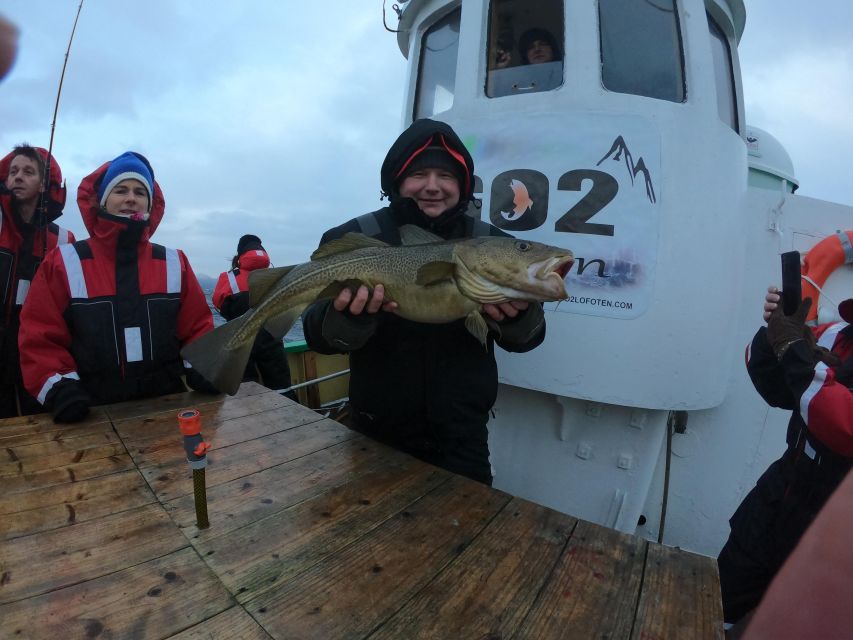 From Svolvaer: Lofoten Fishing Boat Cruise - Practical details that shape the day